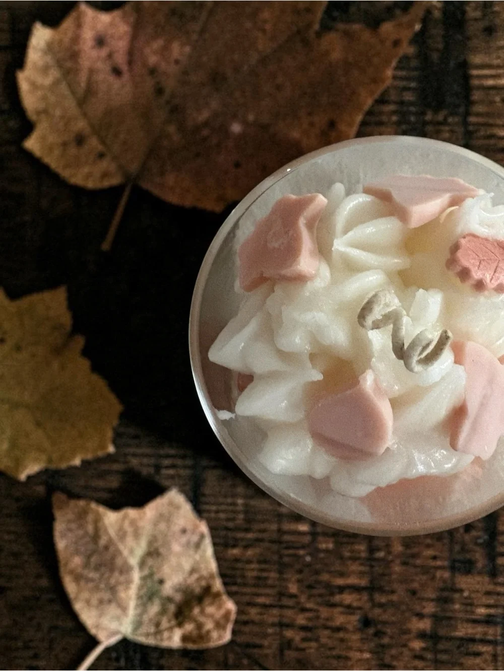 Autumn ambrette  with fall leaves accent apricot soy wax 16 oz  candle